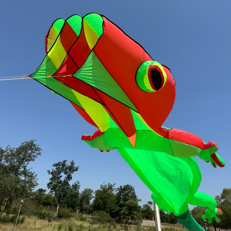 Outdoor Sport An - Outdoor Sport 14m Giant Gecko Soft