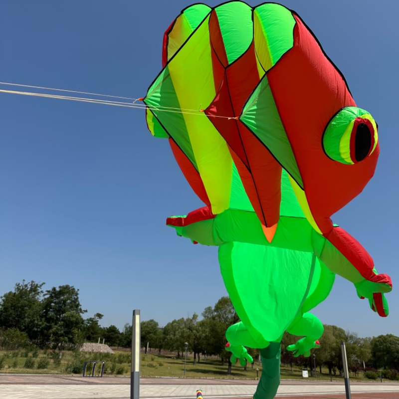 Outdoor Sport 14m Giant Gecko  - đánh giá và giá Outdoor Sport An