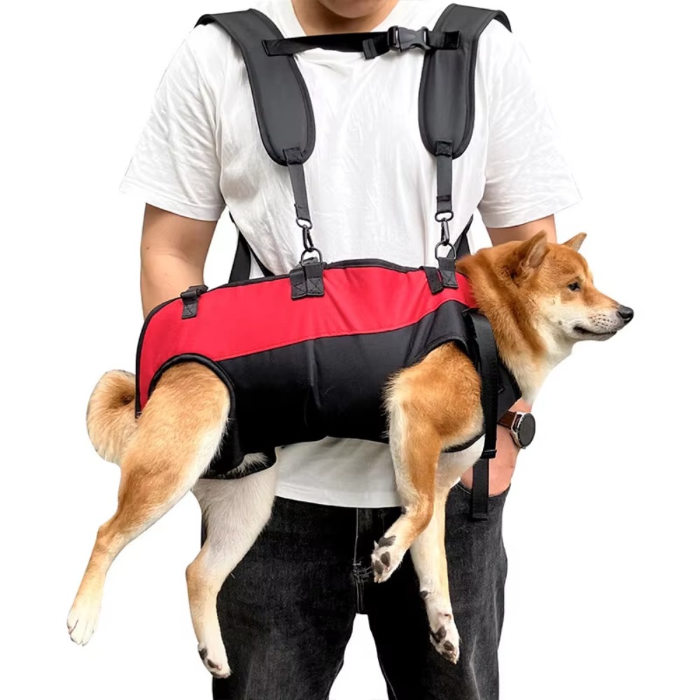 Cat Dog Bag Outing Double Hugg - đánh giá và giá Outdoor Sport Backpack